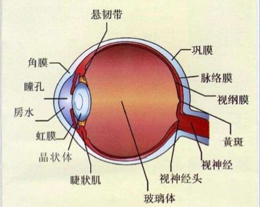 吉强眼科提醒您：是否看清你的双眼？